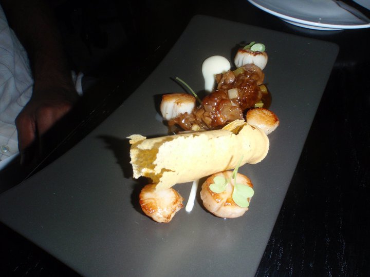 Roasted bay scallops & braised veal tail, parsnip, coral crisp